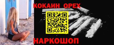 спайс Кингисепп