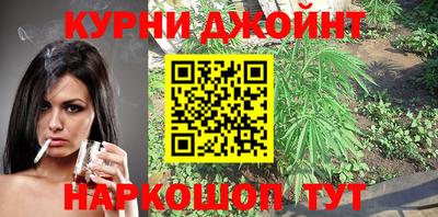спайс Кингисепп