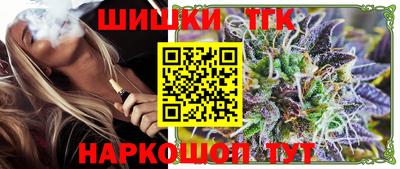 спайс Кингисепп
