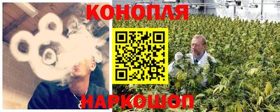 спайс Кингисепп