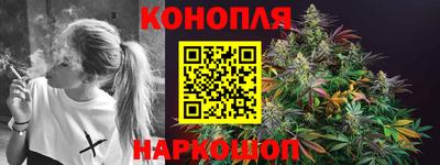 спайс Кингисепп