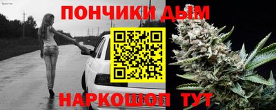 спайс Кингисепп
