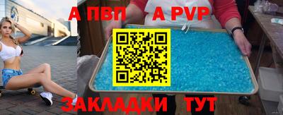 спайс Кингисепп