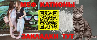 спайс Кингисепп