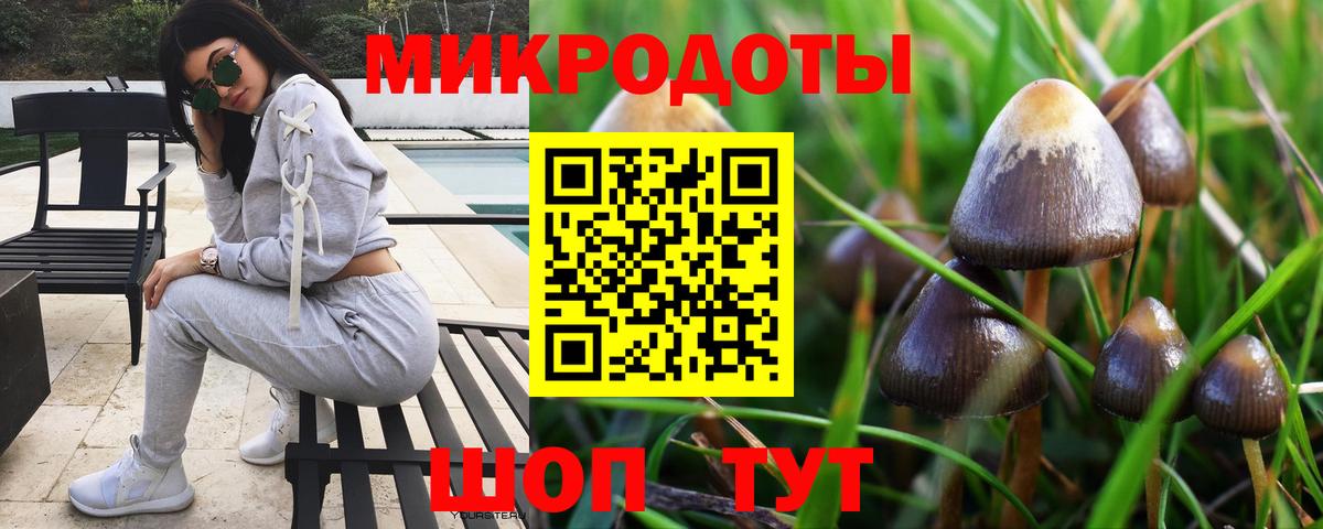 Галлюциногенные грибы Psilocybe Красноуфимск