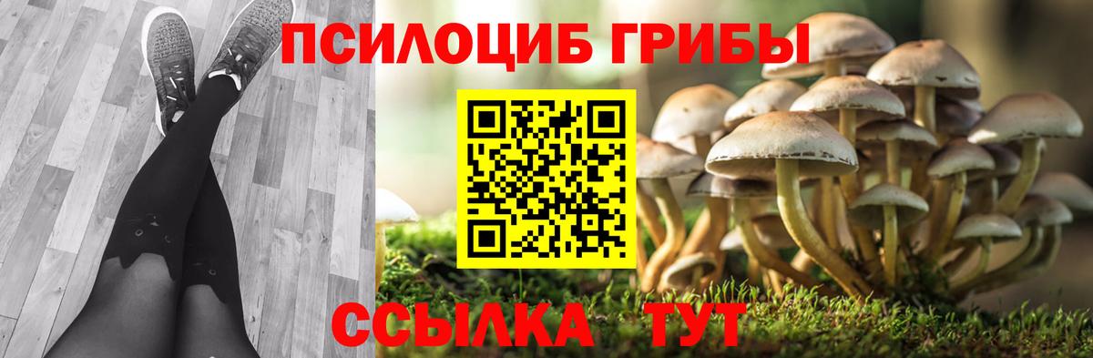 Галлюциногенные грибы GOLDEN TEACHER  Галлюциногенные грибы GOLDEN TEACHER  Вход с VPN  Красноуфимск 
